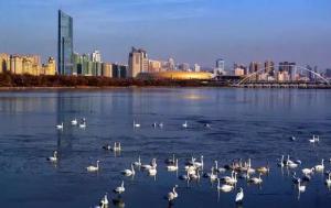 三門峽又一網(wǎng)紅景點，確定不來pick一下？